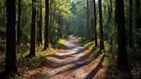 Valdosta: Grassy Pond Haunted Trail Enhanced Return