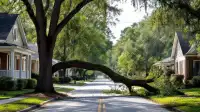 Valdosta Power Outages After Hurricane Isaias